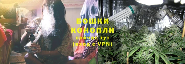 винт Касимов
