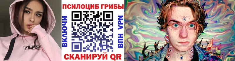 Галлюциногенные грибы MAGIC MUSHROOMS  где можно купить наркотик  Лосино-Петровский 