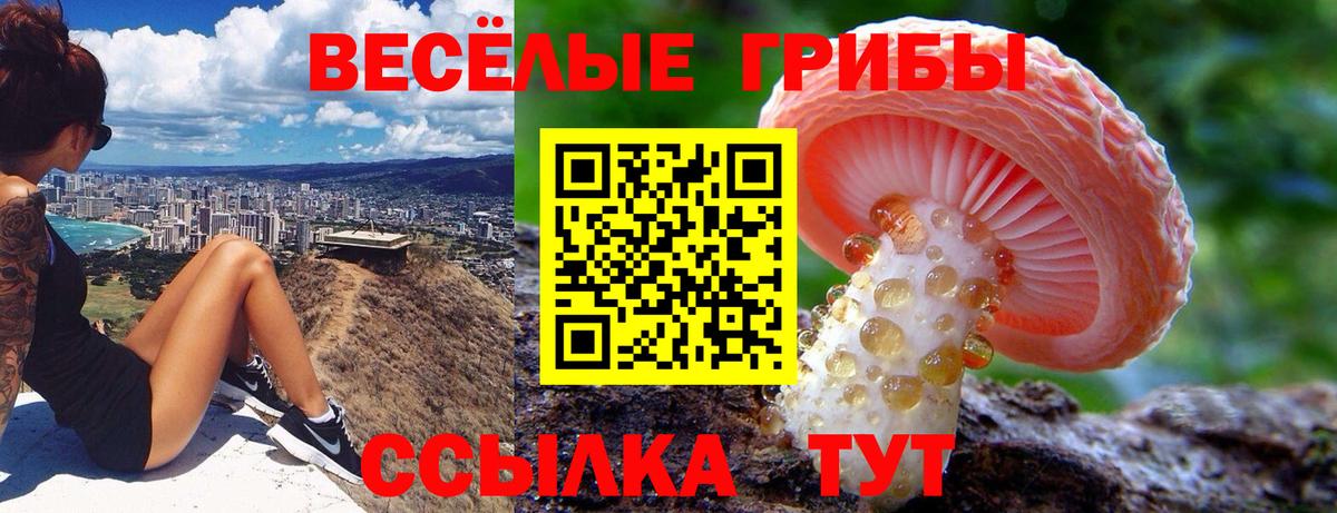 Галлюциногенные грибы GOLDEN TEACHER  Вход с VPN  Лосино-Петровский  Псилоцибиновые грибы Magic Shrooms 